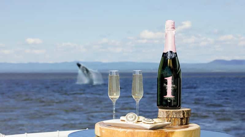 Billet Tadoussac/Charlevoix : salon VIP OU pont supérieur pour l'observation des baleines