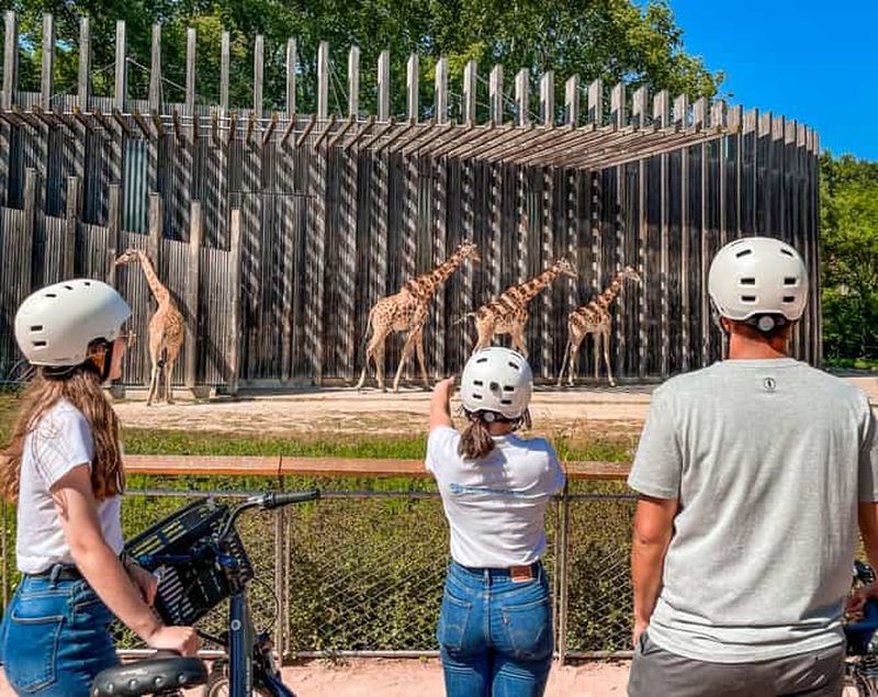 Billet Découvrez le parc emblématique de la Tête d'Or à Lyon à vélo.