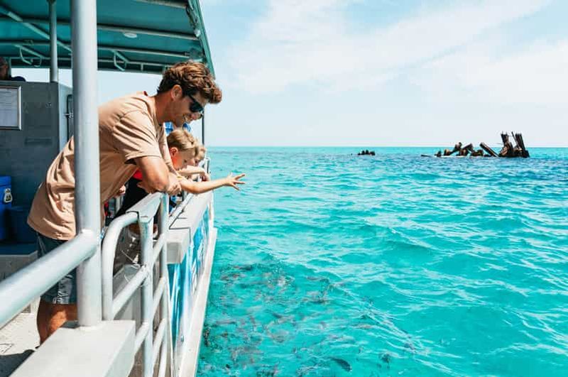 Billet L'île de Moreton : Croisière de découverte du milieu marin et nourrissage des dauphins
