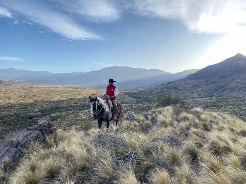 Billet Mendoza : promenade à cheval dans les Andes et barbecue