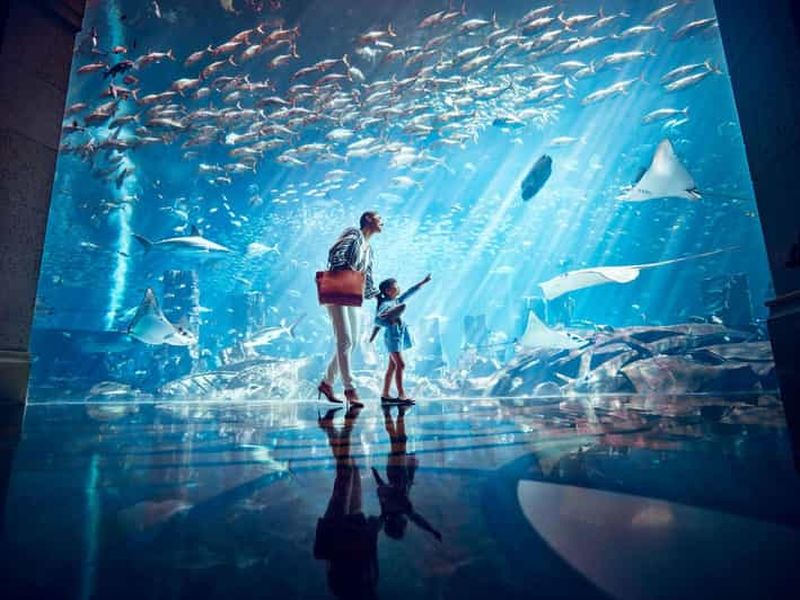 Billet Dubaï : Pass d'une journée pour le Lost World Aquarium