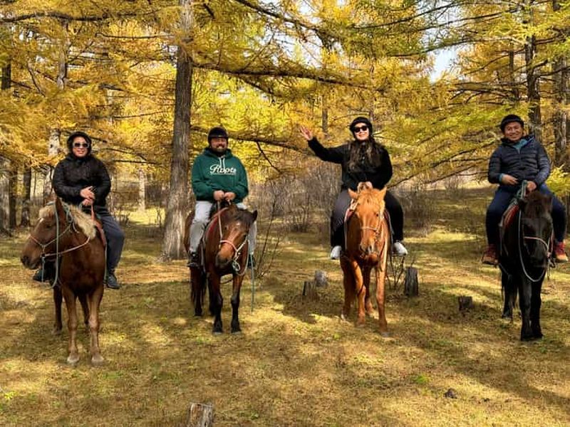 Billet Excursion d'une journée à la statue de Chinggis Khaan et au parc national de Terelj