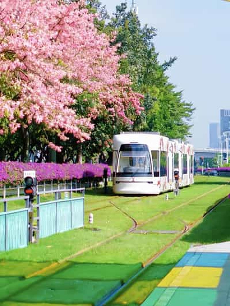 Billet Visite d'une journée à Guangzhou : tramway, musée du verre et croisière nocturne