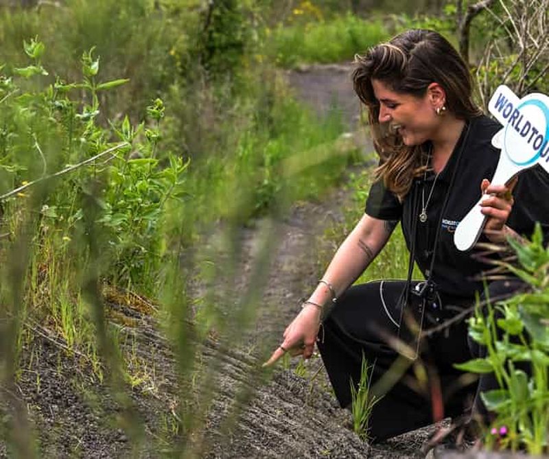 Billet Naples : visite en petit groupe de Pompéi et du Vésuve avec déjeuner