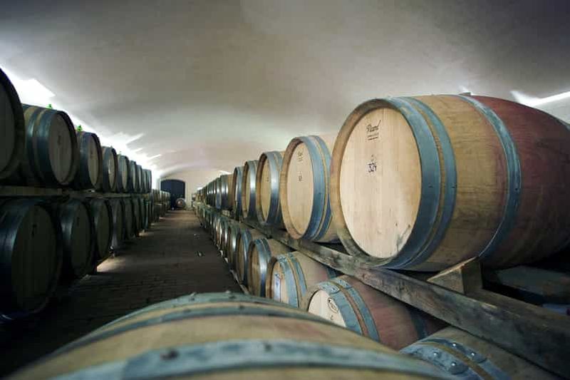 Billet Il Molino di Grace : visite du vignoble et de la cave avec dégustation de vins