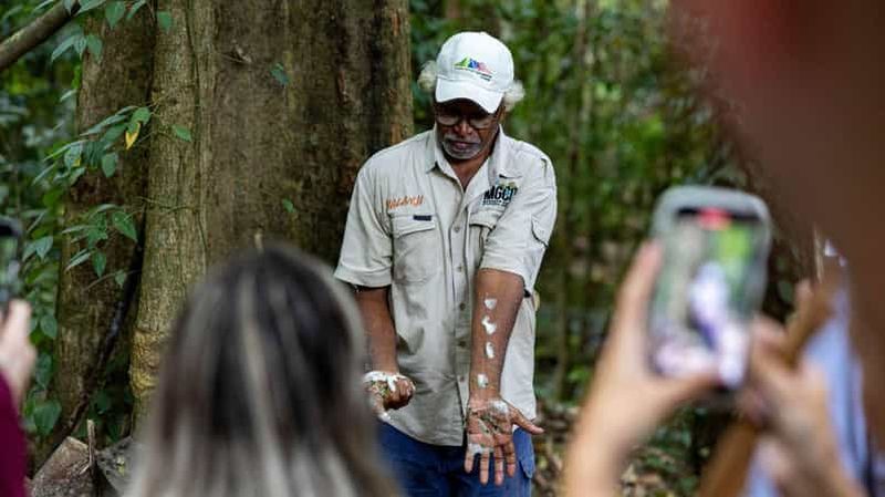 Billet Cairns : excursion dans la forêt tropicale de Daintree et à la gorge de Mossman