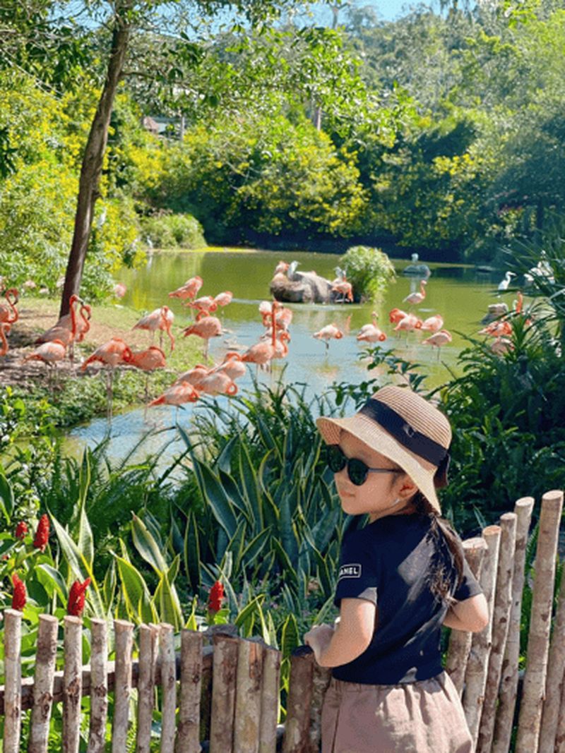 Billet Phu Quoc : Vinpearl Safari Park billet d'entrée