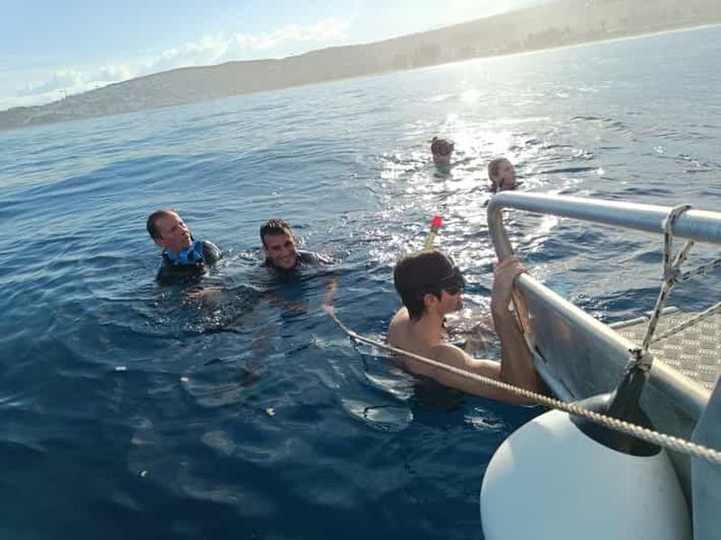 Billet Réunion : Excursion dauphins et baleines à Saint-Gilles