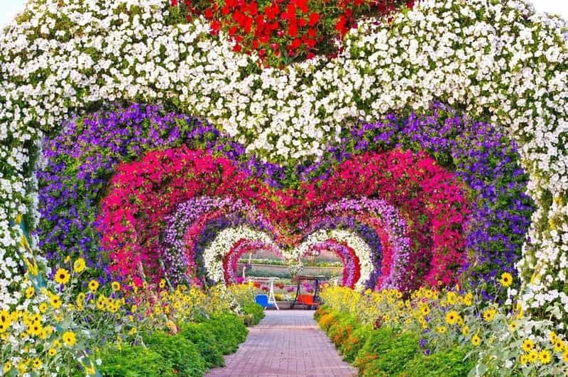 Billet Visite du Miracle Garden et du Global Village de Dubaï avec 3 options