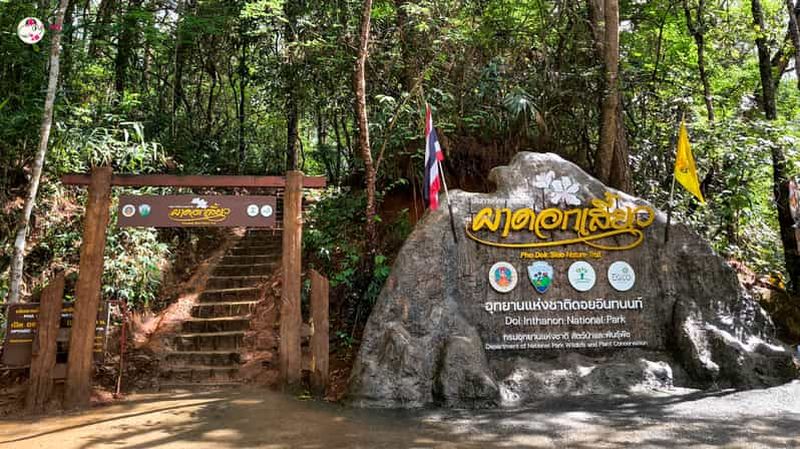 Billet Chiang Mai : Visite et randonnée au Doi Inthanon et au Sanctuaire des éléphants
