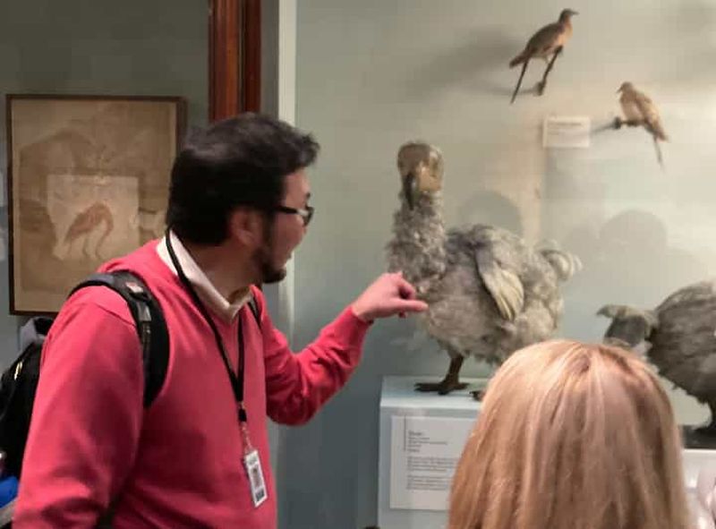 Billet Musée d'histoire naturelle de Londres : visite privative avec un expert