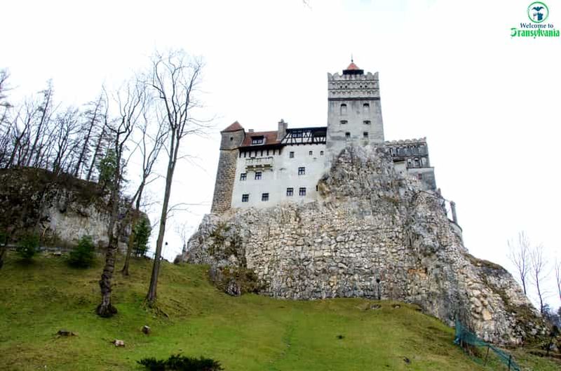 Billet Visite du sanctuaire des ours et du château de Bran depuis Brasov