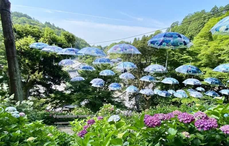 Billet Kyoto : temples Yokoku-ji et Kiyomizu-dera – visite d’une journée