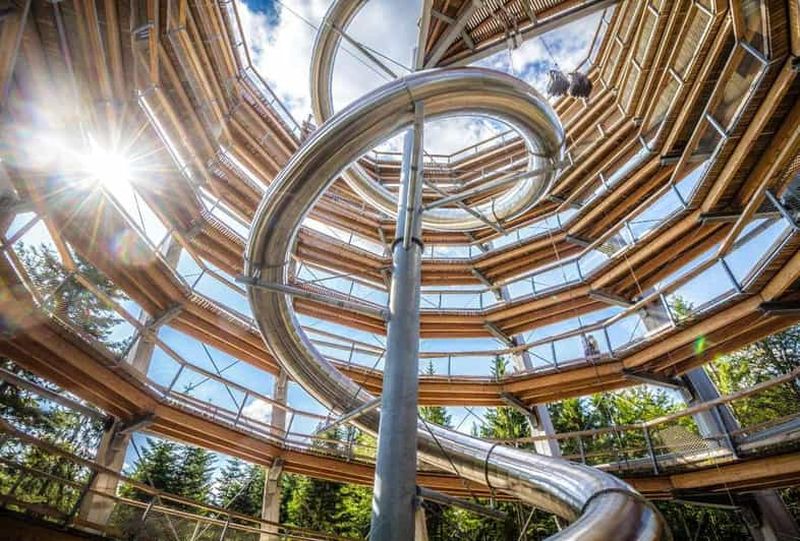 Billet Forêt-Noire : parcours dans les arbres et tour d'observation