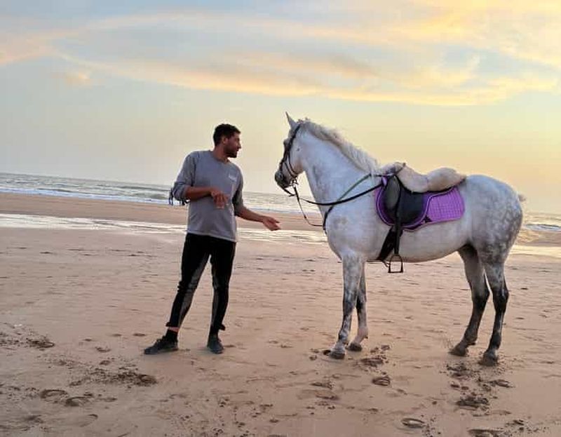 Billet Taghazout : promenade à cheval sur la plage avec prise en charge à l'hôtel