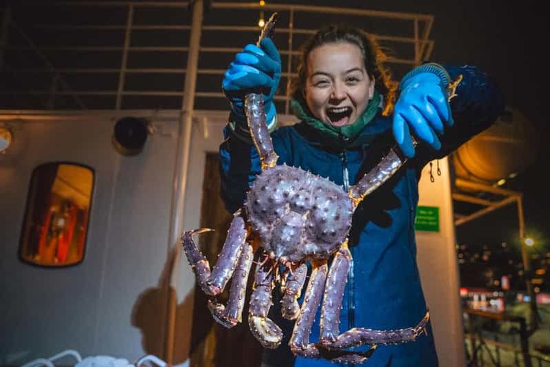 Billet Tromsø : croisière arctique à la découverte du crabe royal, avec déjeuner composé de prises du jour