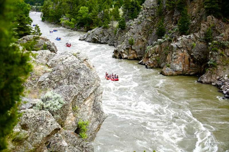 Billet Gardiner : Rafting en eaux vives d'une demi-journée sur la rivière Yellowstone