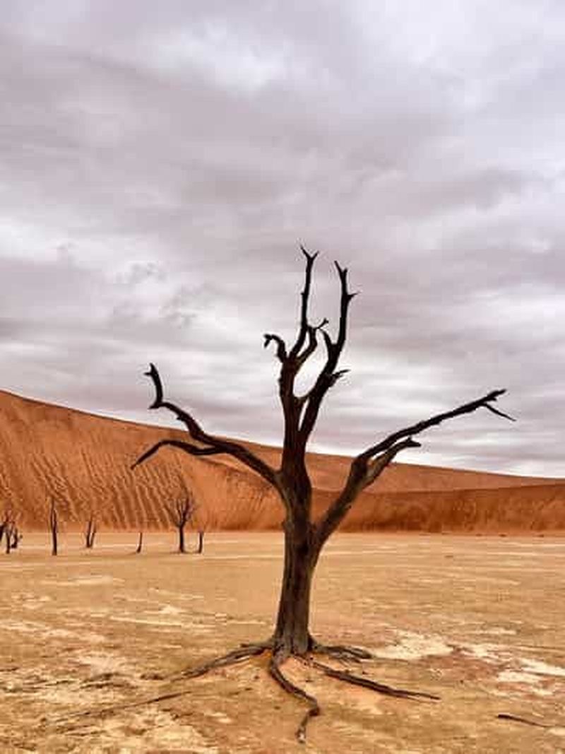 Billet Sossusvlei : excursion d'une journée