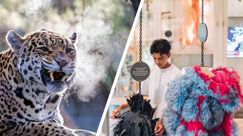 Billet Amsterdam : Billets ARTIS Royal Zoo et ARTIS Groote Museum