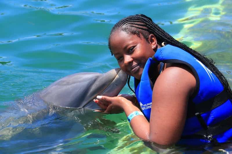 Billet Aventure avec les dauphins de Punta Cana : Interaction de 40 minutes
