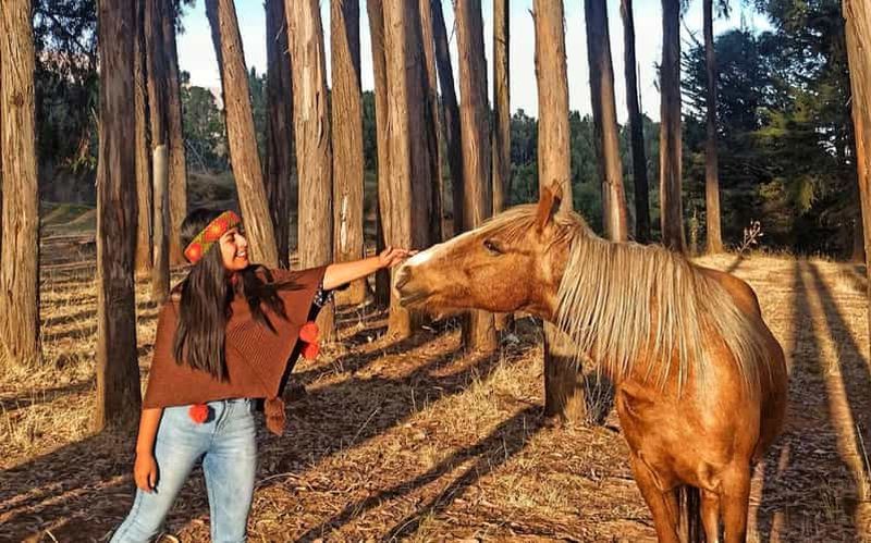 Billet Randonnée à cheval à travers Sacsayhuaman, Qenqo et la forêt d'eucalyptus.