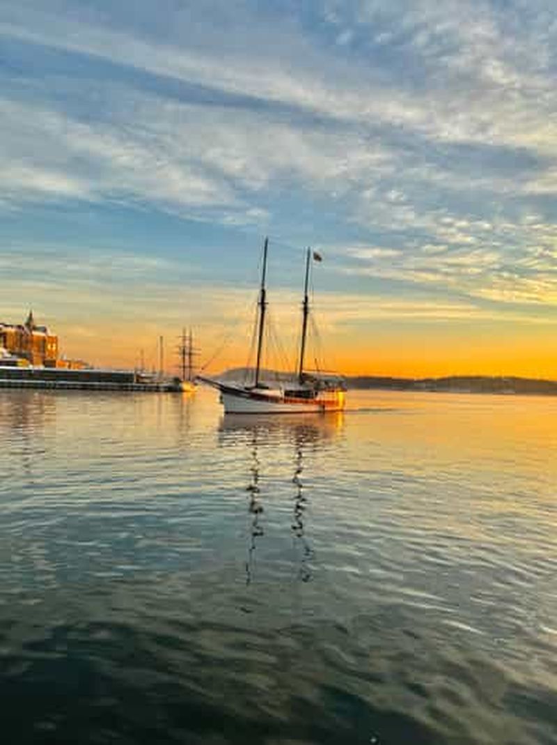 Billet Oslo : Croisière touristique dans le fjord d'Oslo à bord d'un voilier