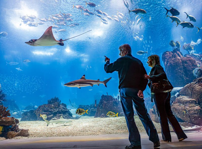 Oceanário de Lisboa