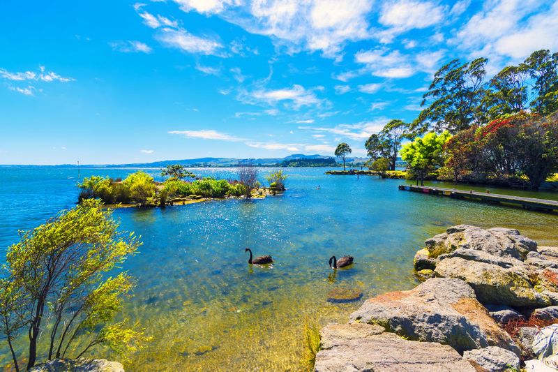 Lac Rotorua