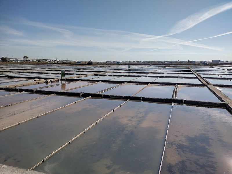 Saline de Aveiro