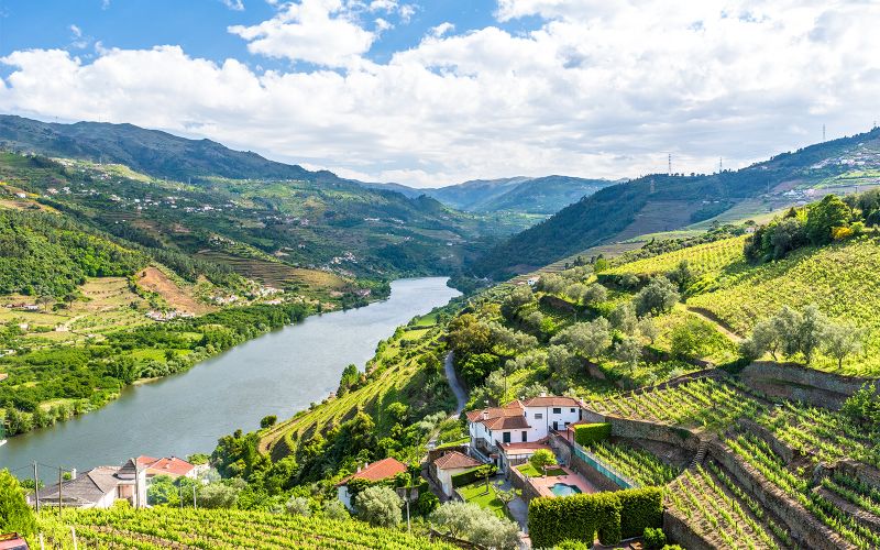 Billet Visite guidée classique de la vallée du Douro avec croisière d'une heure sur le Pinhão, déjeuner traditionnel et dégustations de vins