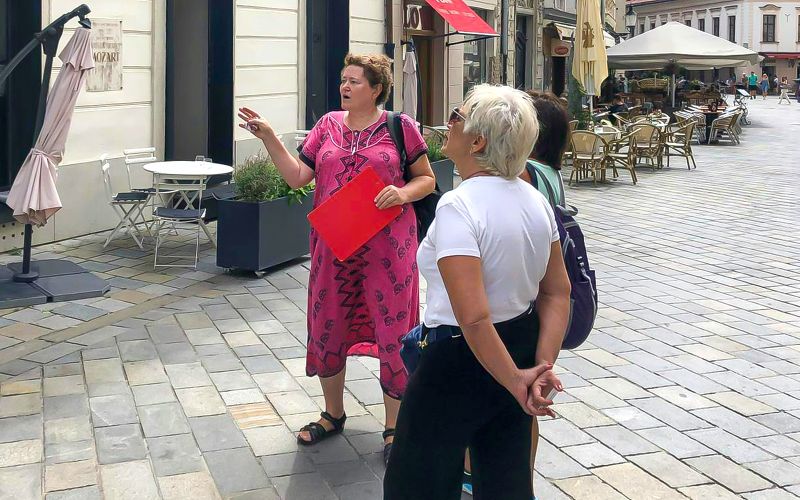 Billet Visite guidée à pied de Bratislava avec entrée au château