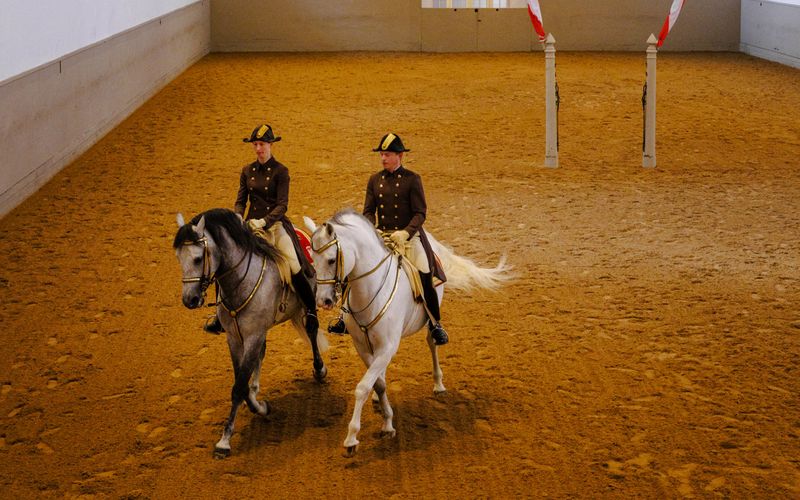 Billet Visite guidée de l'école d'équitation espagnole