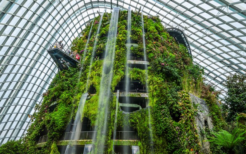 Billet Billets pour Gardens by the Bay : Cloud Forest (Jurassic World Experience) + Flower Dome