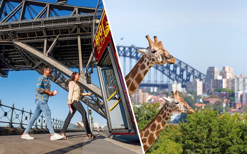 Billet Combo : Big Bus Sydney Hop-on Hop-off Tour + Taronga Zoo Tickets
