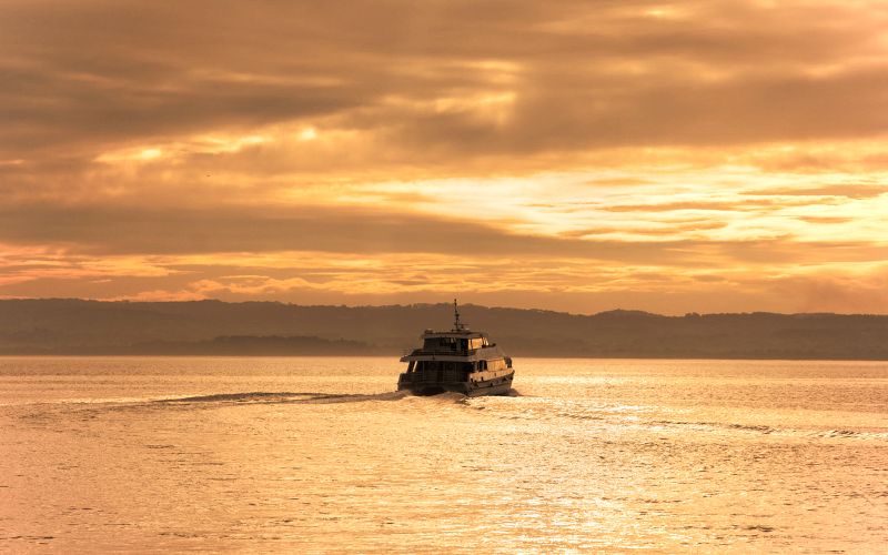 Billet Croisière touristique au coucher du soleil à Phillip Island