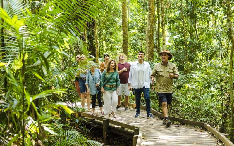 Billet À partir de Cairns/Port Douglas : Excursion d'une journée en 4x4 à Daintree, Mossman Gorge & Cape Tribulation avec déjeuner, dessert et croisière sur la rivière.
