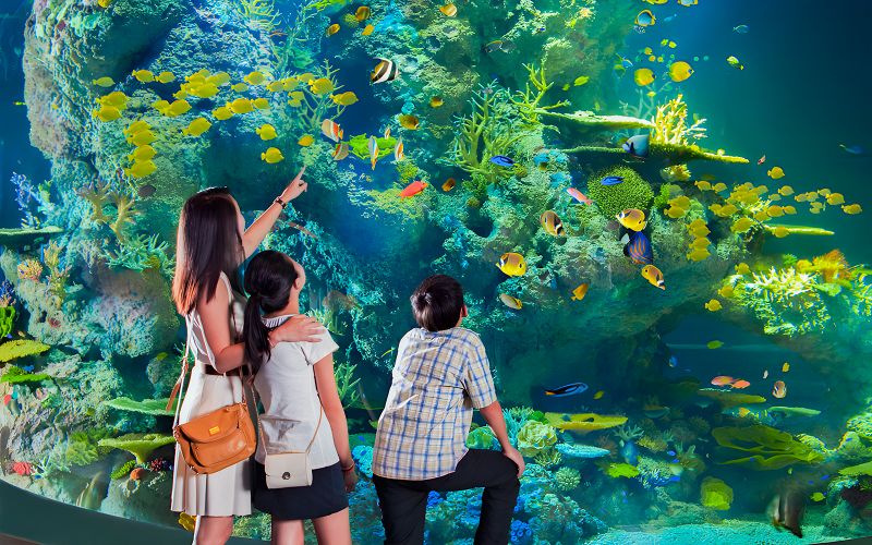 Billet Billets pour l'Océanarium de Singapour