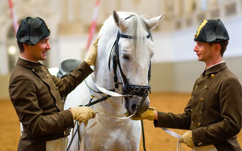 Billet Visite guidée des légendes lipizzanes de l'école d'équitation espagnole Lippizaner Legends