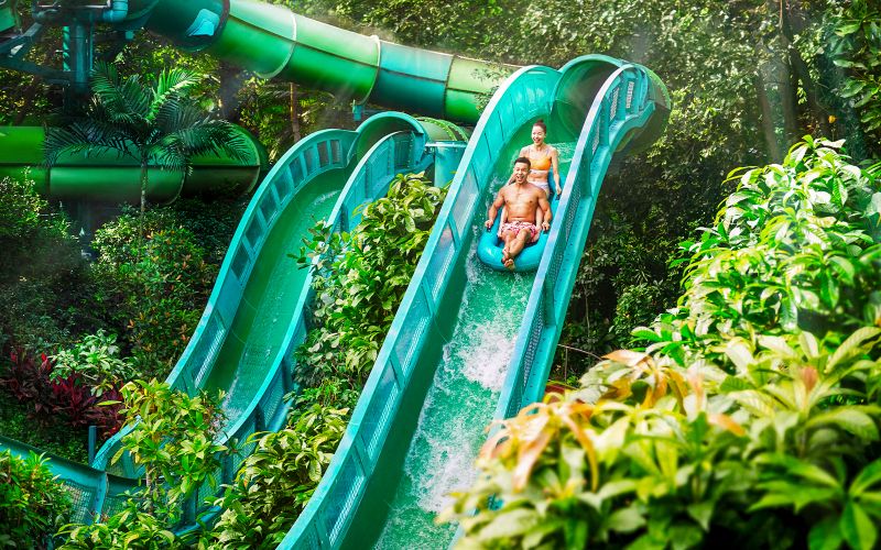 Billet Billets pour le parc aquatique Adventure Cove