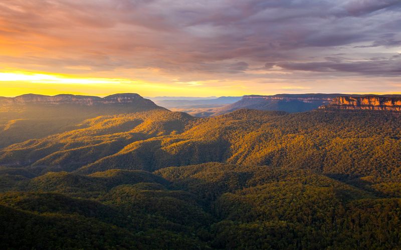 Billet Visite des Blue Mountains au coucher du soleil : Bushwalks des chutes de Wentworth, faune et flore et belvédères