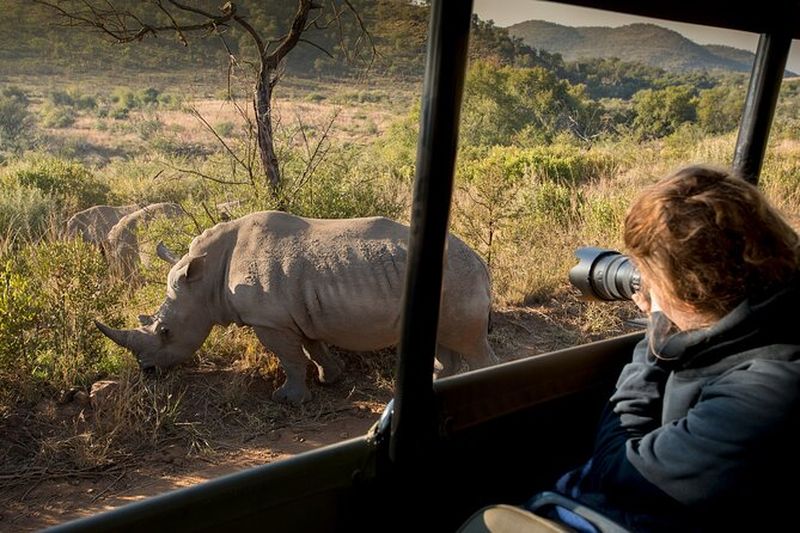 Billet Safari dans la Réserve Naturelle de Pilanesberg au départ de Johannesburg