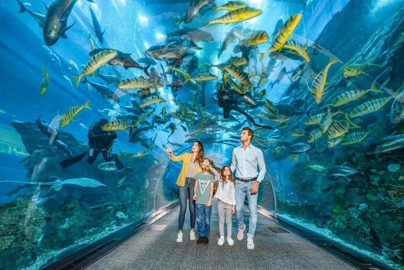 Billet Gold Pass pour l'aquarium et le zoo sous-marin de Dubaï