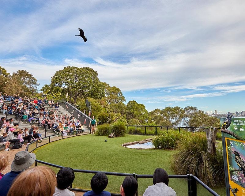Billet Billets pour le zoo de Taronga à Sydney