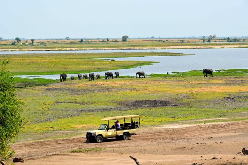 Billet Safari 4x4 dans le parc national de Chobe depuis Kasane