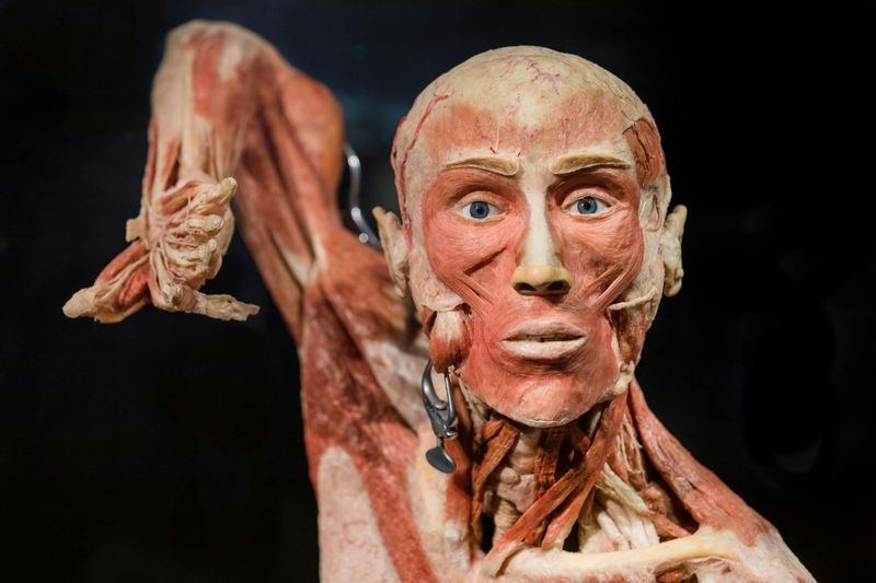 Billet Billets pour l'exposition Body Worlds à Amsterdam