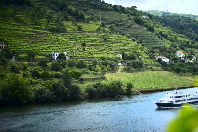 Billet Excursion dans la vallée du Douro depuis Porto avec déjeuner et dégustation de vin