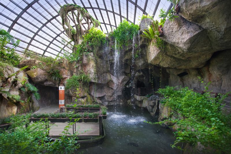 Billet Billets pour Entopia by Penang Butterfly Farm