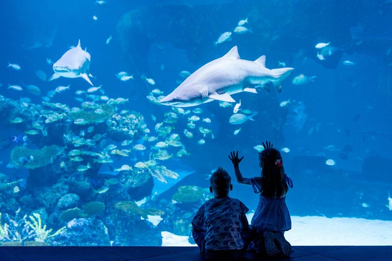 Billet Billets pour Aquaria Phuket