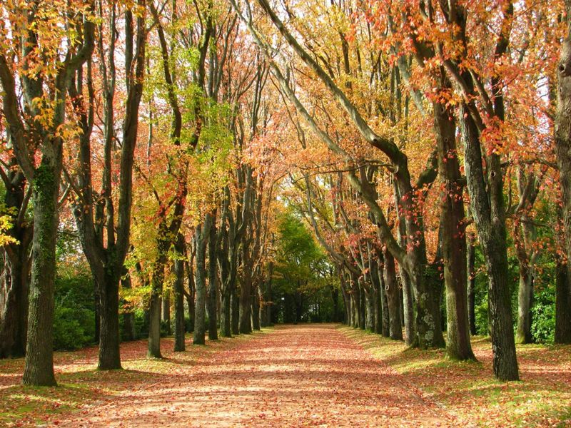 Billet Billets d'entrée au parc Serralves à Porto