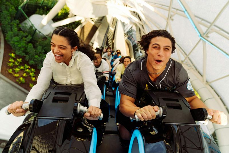 Billet Billet standard 1 jour pour Walt Disney World Resort